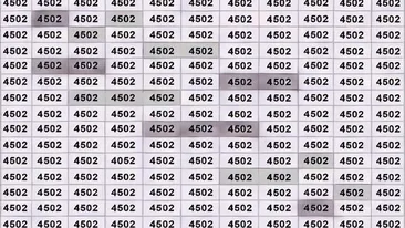TEST IQ | Identifică singurul număr care nu este 4502! Dacă reușești în 7 secunde, ești un geniu