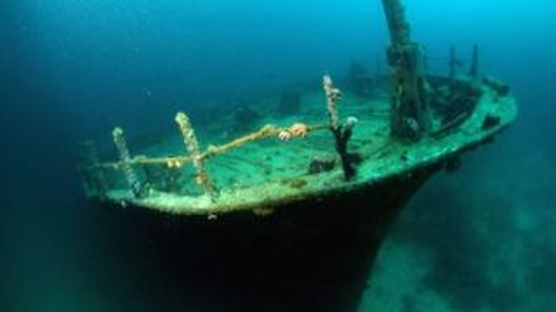 O comoara arheologica descoperita in apele Indoneziei va fi scoasa la licitatie pentru 80 de milioane de dolari