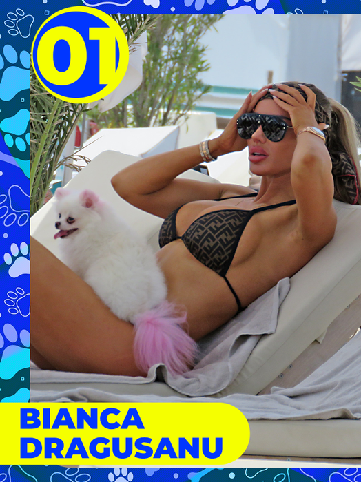 Top 25 vedete care și-au etalat costumele de baie, dar cățeii lor au făcut senzaţie! Delia, Bianca Drăgușanu sau Lora, eclipsate de patrupezi la malul mării