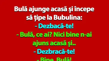 BANC | Bulă ajunge acasă și începe să țipe la Bubulina