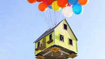 Au facut casa sa zboare