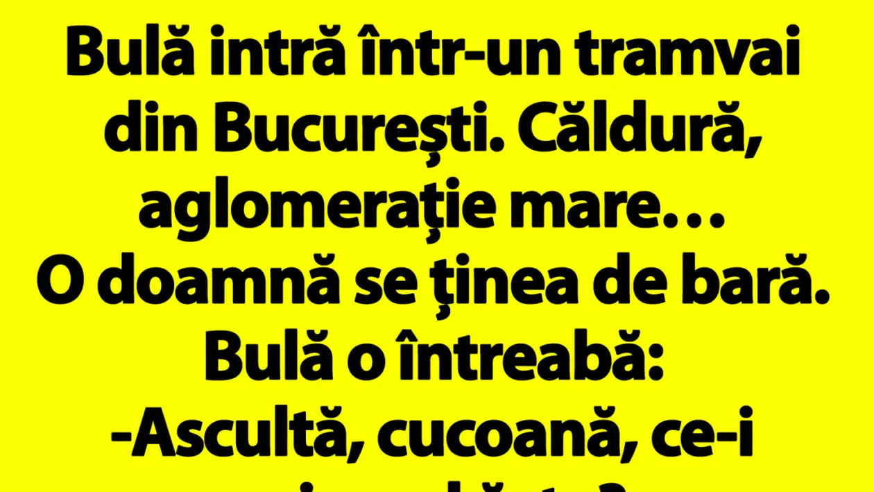BANCUL ZILEI | Bulă intră într-un tramvai din București