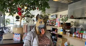 Galerie foto - poza 1