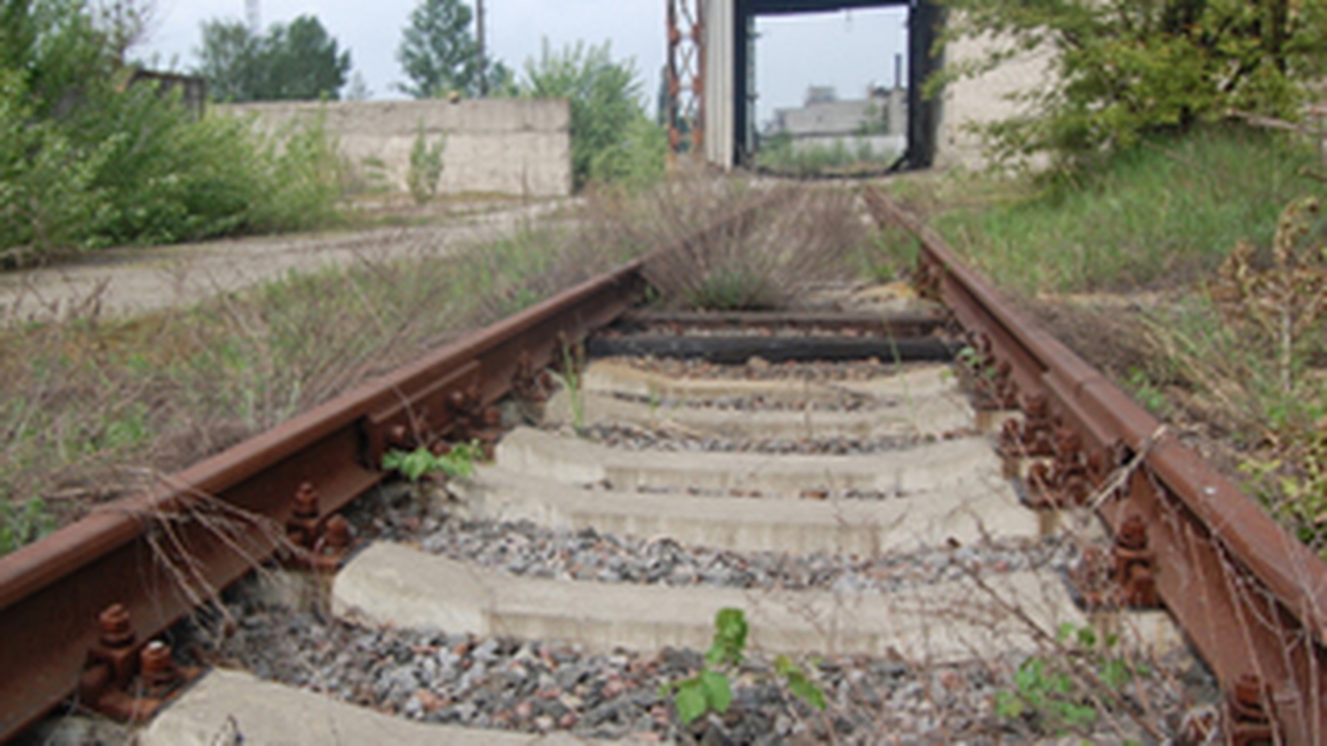 O femeie si un copil au murit dupa ce masina in care se aflau a fost lovita de un tren