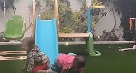 Galerie foto - poza 3