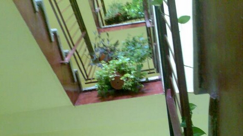 O femeie a murit dupa ce a cazut intre scarile unui bloc din cartierul bucurestean Pantelimon