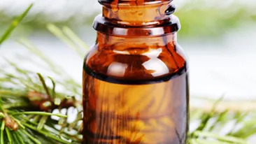 Bradul, intre poveste si medicatie. Ce boli poti trata cu sirop din muguri de brad si cum sa-l prepari acasa