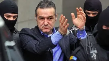 Becali REFUZA sa mai mearga la munca: Nu mai pot. Este inuman Ce probleme de sanatate are patronul Stelei