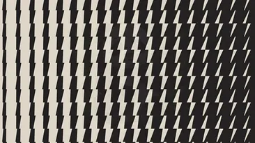 Iluzie optică | Doar un geniu poate identifica animalul ascuns în această poză