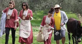 Galerie foto - poza 2