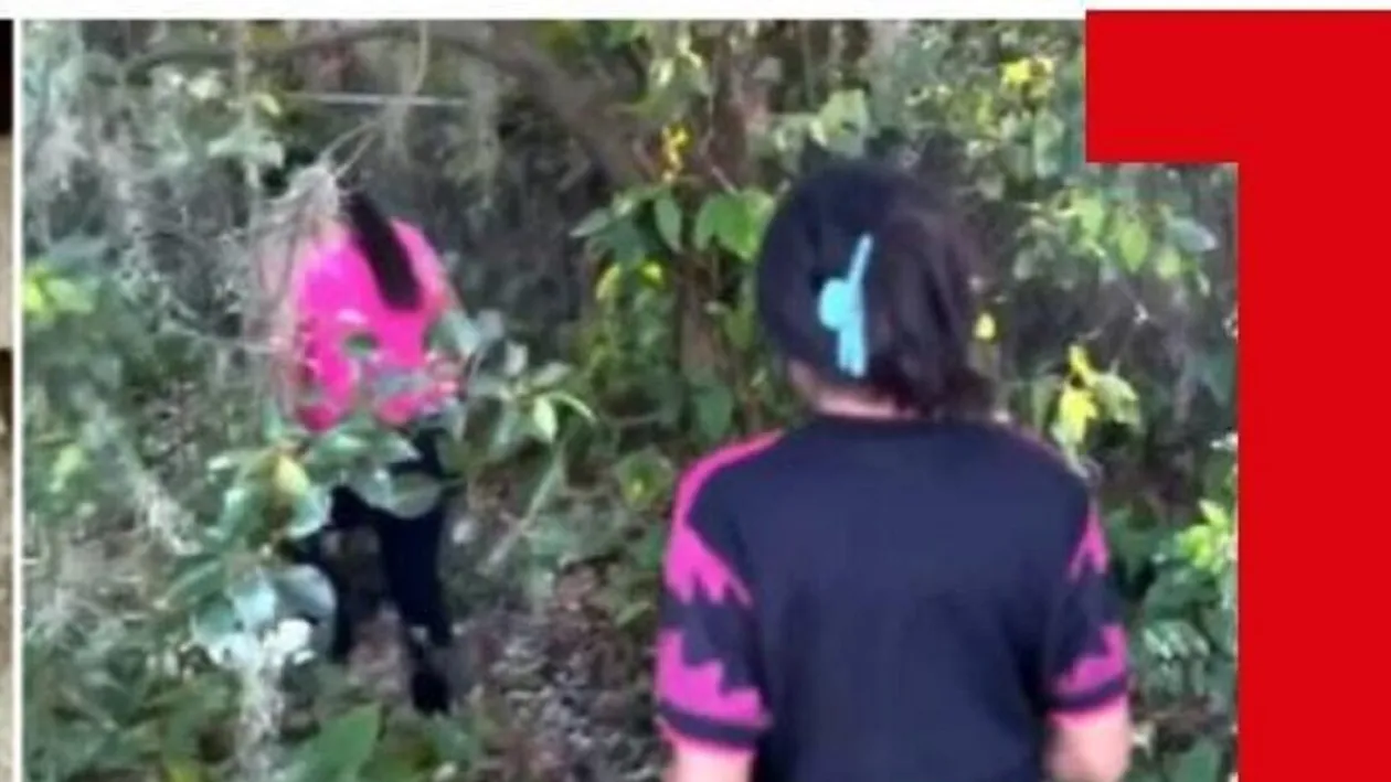 O fetiță nou-născută a fost găsită abandonată într-o pădure. ,,A fost lăsată într-o stare extrem de vulnerabilă”