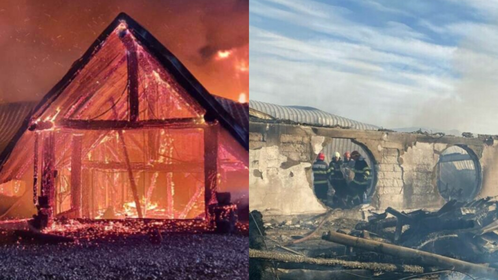 Mărturia unei femei care a fost cazată la Ferma Dacilor. „Am auzit sirene și bătăi în ușă”