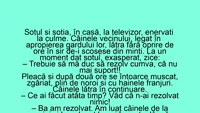 BANC | Soțul și nevasta stau în casă, la televizor, enervați la culme de câinele vecinilor