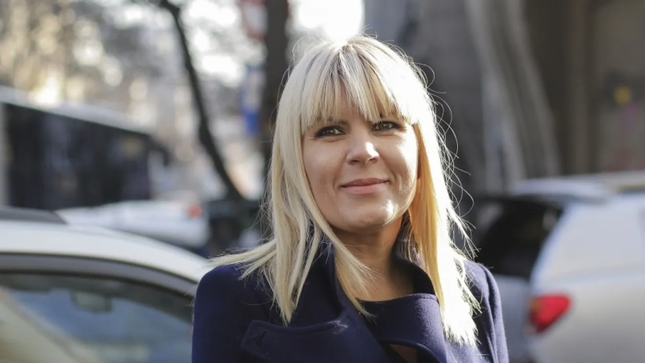 Elena Udrea: „Măi lichelelor, aţi uitat când lingeaţi clanţa să vă sprinjin să luaţi funcţii în partid?”