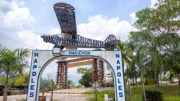 Un nepot al lui Pablo Escobar a găsit o sumă fabuloasă în pereții casei unchiului său