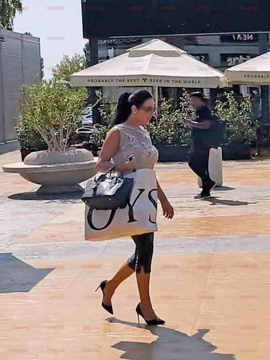 Ioana Năstase i-a făcut lui Ilie plângere penală