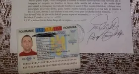 Galerie foto - poza 2