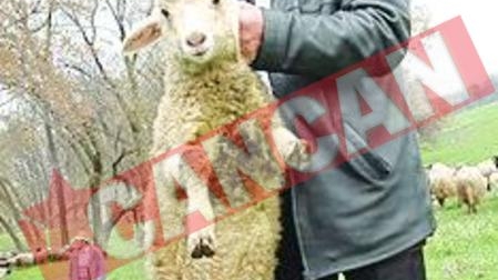 I-a interzis sotiei sa mearga la "Schimb de mame"