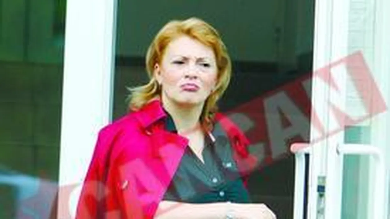 Adrian Enache divorteaza