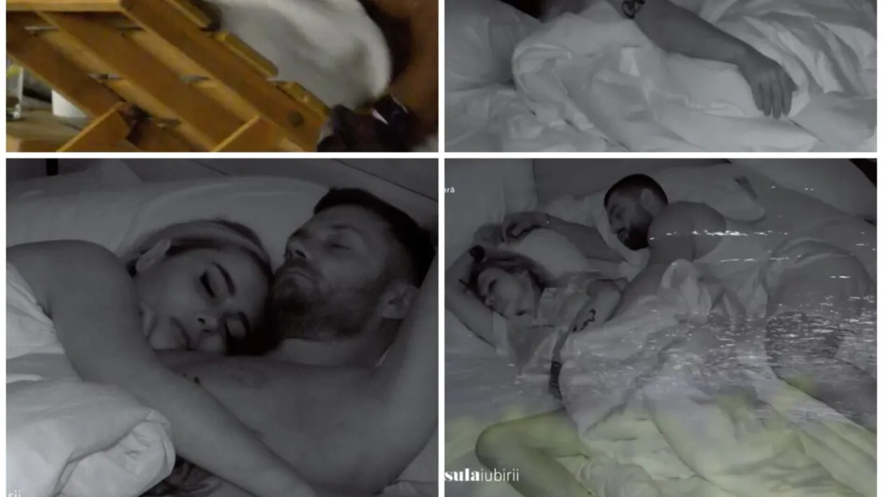 Debandadă totală la Insula iubirii 2025! 4 cupluri NOI au dormit împreună! Cine a comis-o la Antena 1