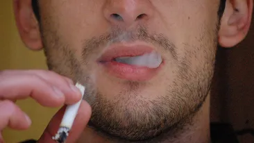 Fumătorii ar trebui să mănânce acestă legumă pentru a scăpa de cancer pulmonar! Se găseşte în toate casele