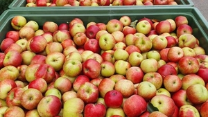 Dispare un produs românesc foarte cunoscut. De vină sunt costurile de producție și importurile