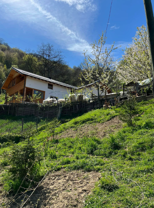 Și-au găsit fericirea după ce au părăsit Bucureștiul și s-au mutat în vârful unui deal din Maramureș. Povestea unei familii cu 4 copii care s-a regăsit într-un loc parcă atins de Dumnezeu