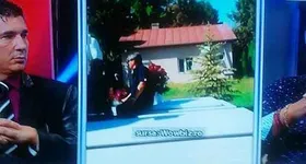 Galerie foto - poza 4