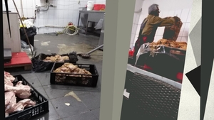 Atenție, imagini șocante din bucătăria unui fast-food din București!