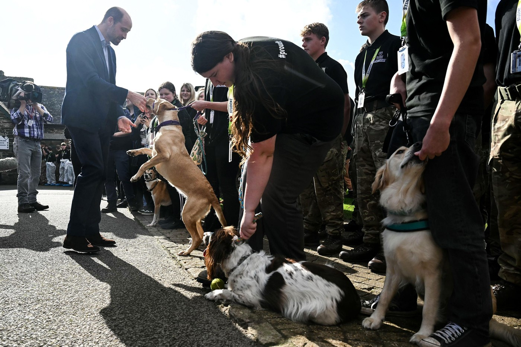 Ducele de Cornwall este întâmpinat de un câine de la Departamentul de gestionare a animalelor la Duchy College Stoke Climsland în Callington, Cornwall. Foto: Profimedia