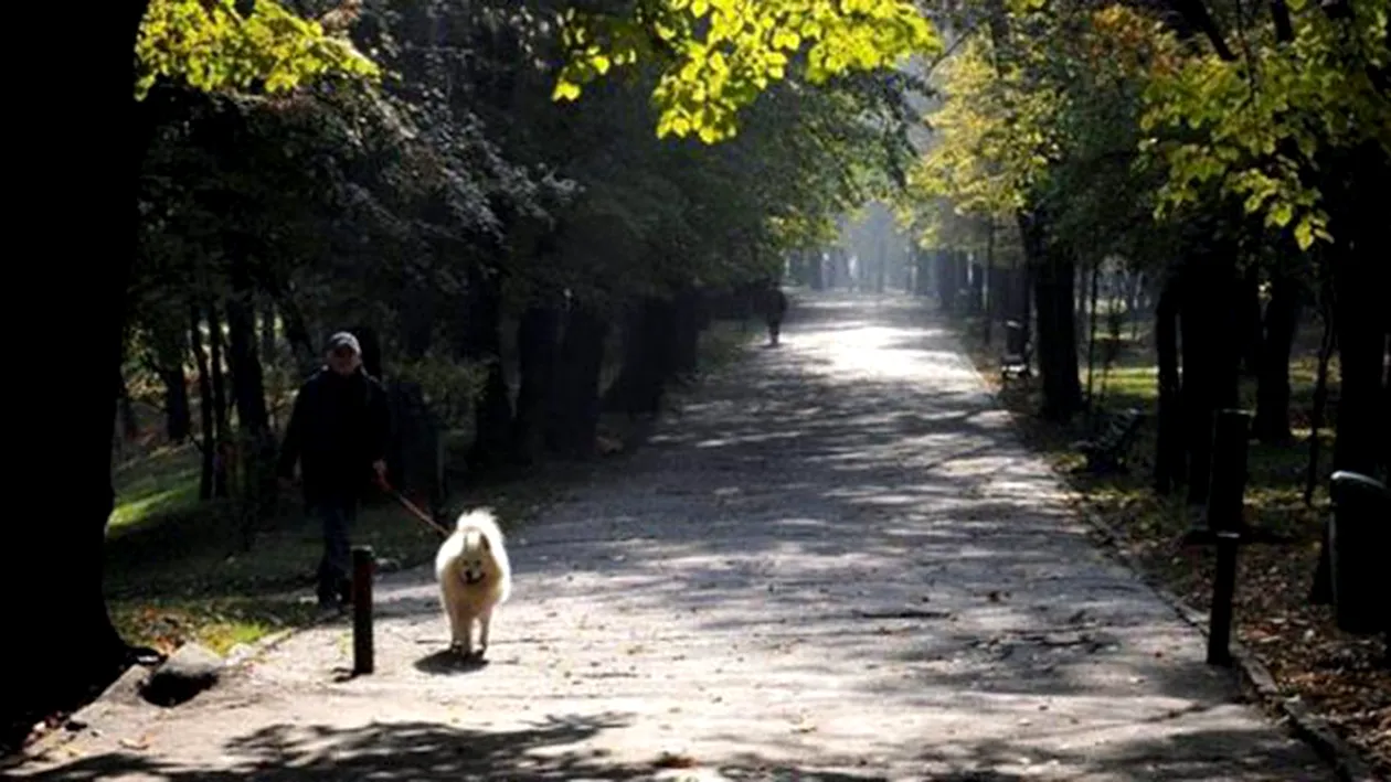 METEO 13 NOIEMBRIE! Cum va fi vremea in Bucuresti si in alte zone din tara!