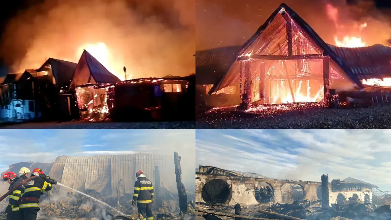 Mărturia tulburătoare a lui Cornel Dinicu, patronul de la Ferma Dacilor. Fiul său luase o drujbă ca să taie pereții din camerele copiilor: „Cineva a dat foc”