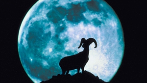 Luna se apropie foarte mult  de Terra! Pamantul este in pericol!