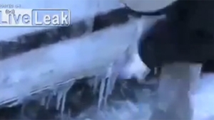 VIDEO Cea mai simpla metoda de a-ti dezgheta masina! Ce face acest barbat cand isi vede autoturismul acoperit de gheata