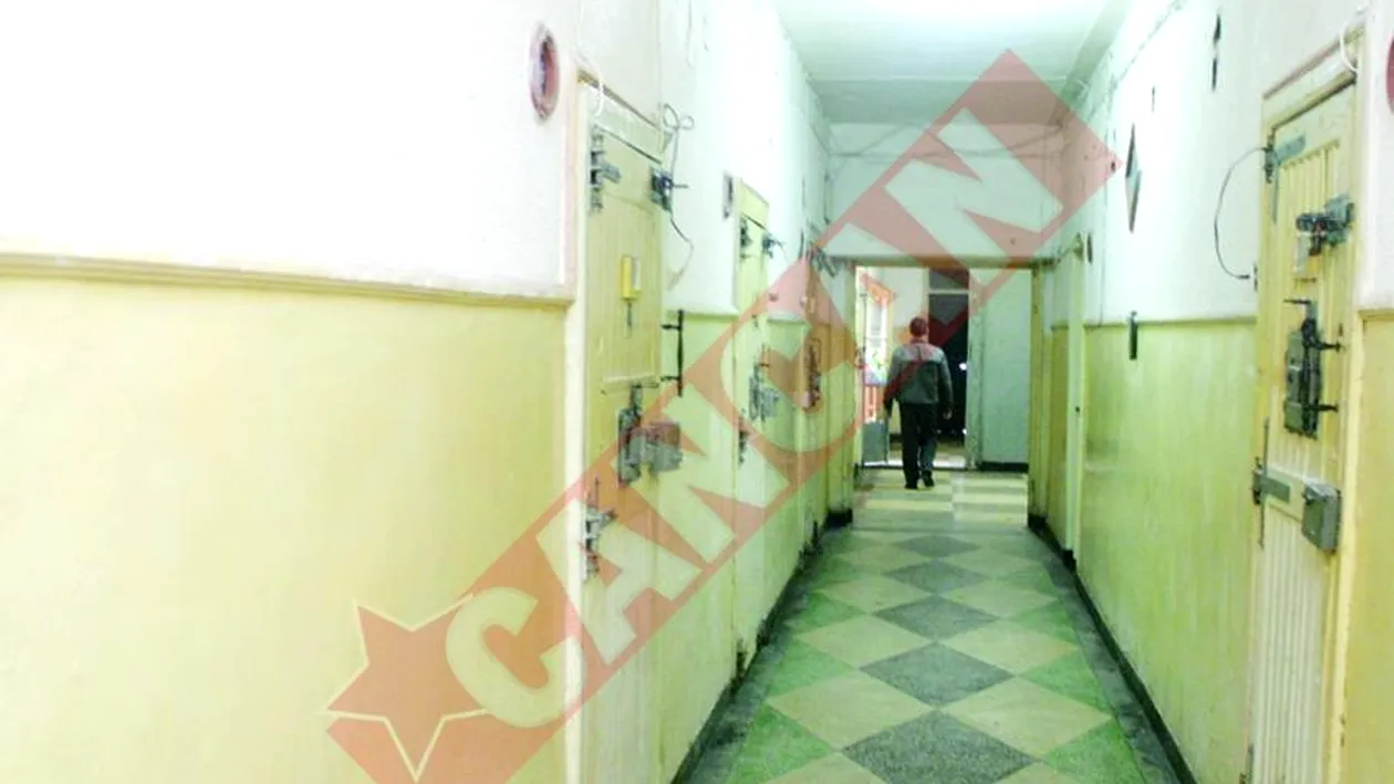 Usile celulelor de la Rahova, topite de canicula