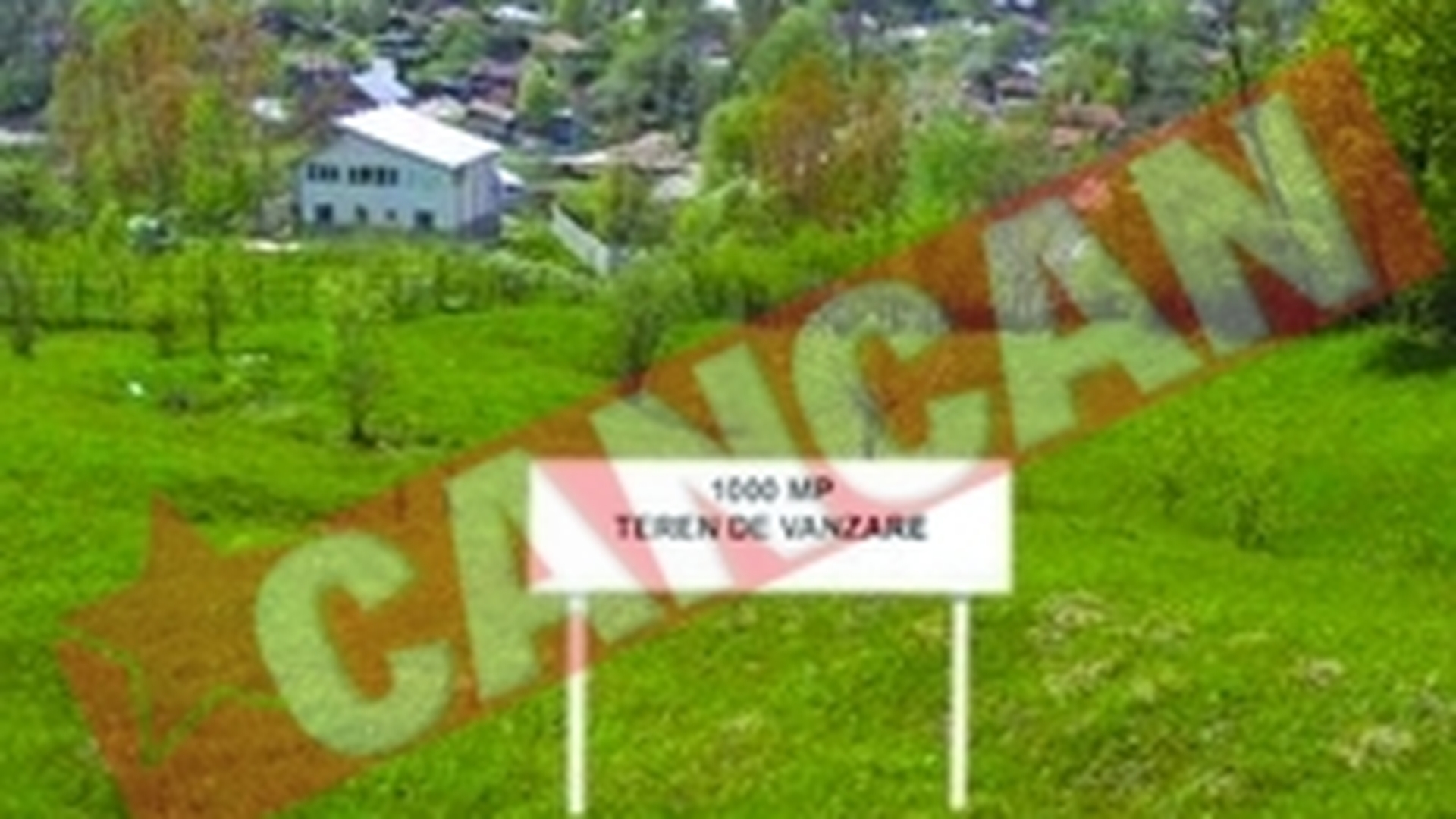 Ce trebuie sa stiti cand cumparati un teren