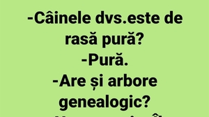 BANCUL ZILEI | "Câinele dumneavoastră este de rasă pură?"