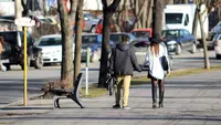 Meteo 19 februarie! Temperaturile vor scadea usor pe tot parcursul zilei