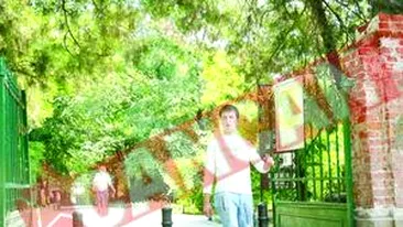 Din vara, bucurestenii vor putea folosi internetul In parcuri