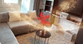 Galerie foto - poza 2