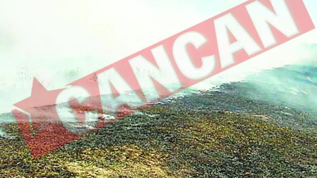 Sute de hectare de teren agricol, distruse de incendii