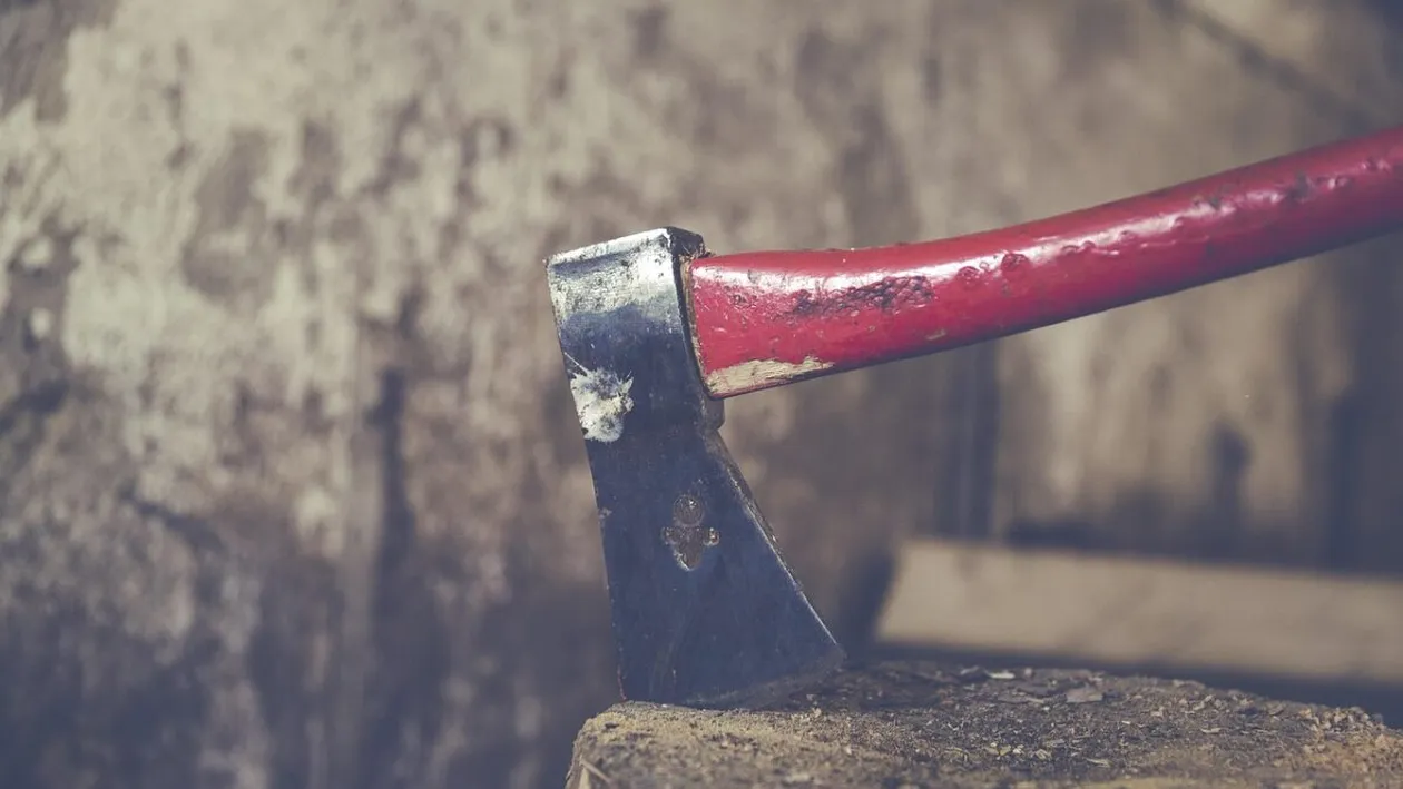 Încă o crimă zguduie România! O femeie din Constanța a fost ucisă cu toporul de iubitul ei