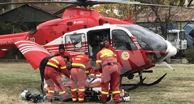 Galerie foto - poza 3