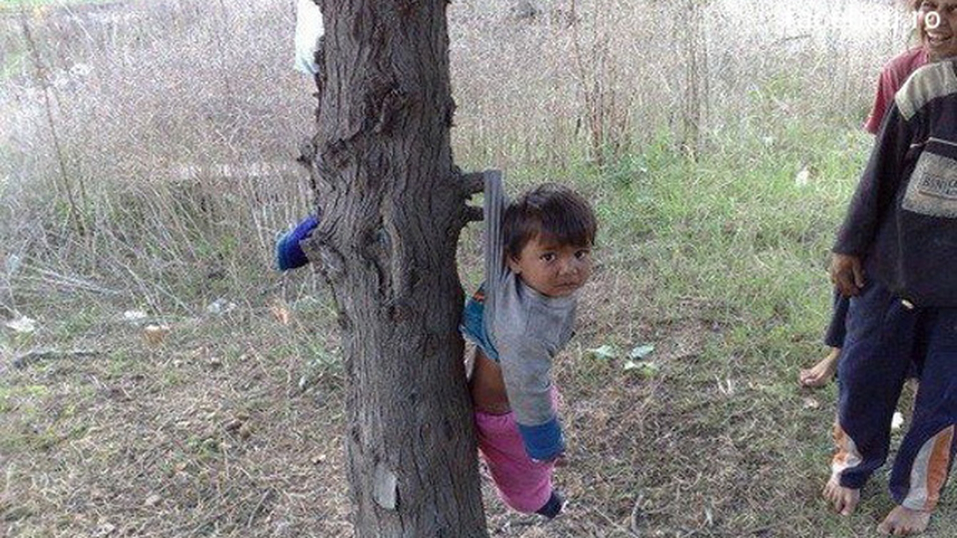 Vezi disperarea din ochii lui? Un puradel este agatat in pom de rudele mai mari si fac caterinca de el - Imaginea care te va enerva