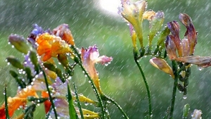 Vin ploile, dar vremea ramane frumoasa! Vezi prognoza meteo din urmatoarele trei zile