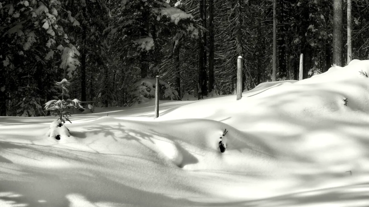 Prognoza meteo 26 decembrie 2025. Iarna pune stăpânire pe mai multe regiuni din România, în a doua zi de Crăciun