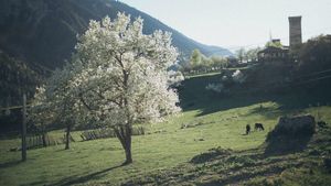 Prognoza meteo azi, 11 martie 2026. Primăvara începe să se simtă: temperaturi de până la 12°C în România