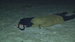 FOTO - S-a dat starul la distracţie în VAMA VECHE! Temperaturile scăzute nu au contat. Mii de tineri au băut şi dormit pe plajă fără nicio grijă