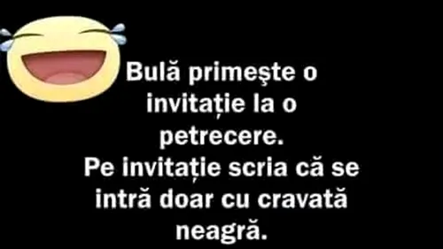 BANC | Bulă primește invitație la o petrecere