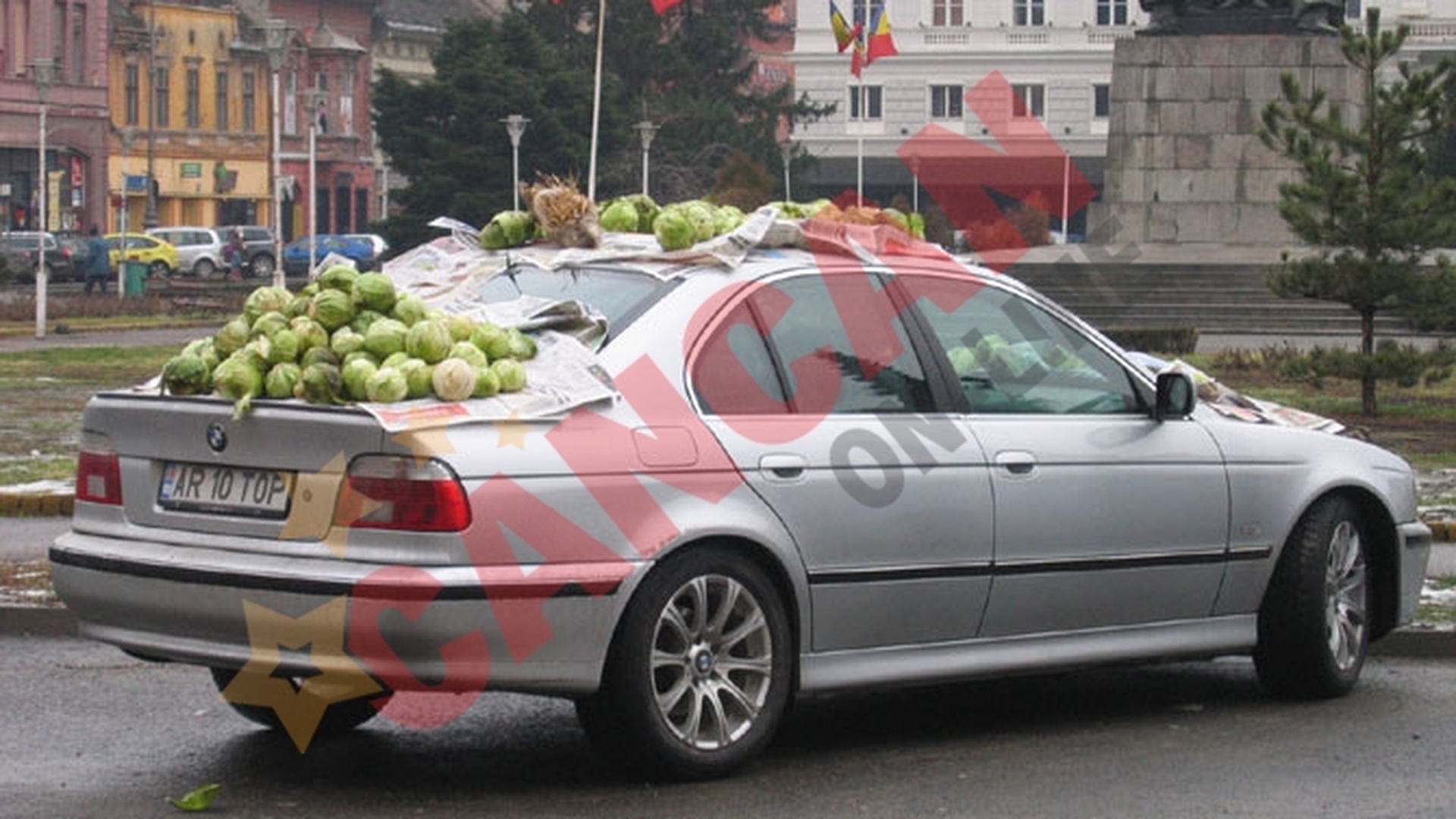 Masina unui aradean, acoperita cu varza si un iepure impaiat